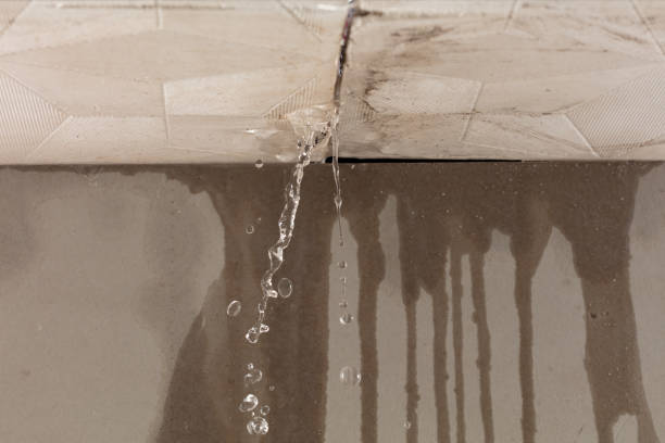 Professional Commercial Water Damage Restoration technician working in Davis, SD